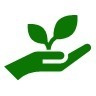 icone planta.jpg